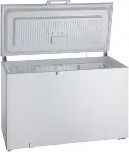 Congélateur coffre Bauknecht GTE 280 A3