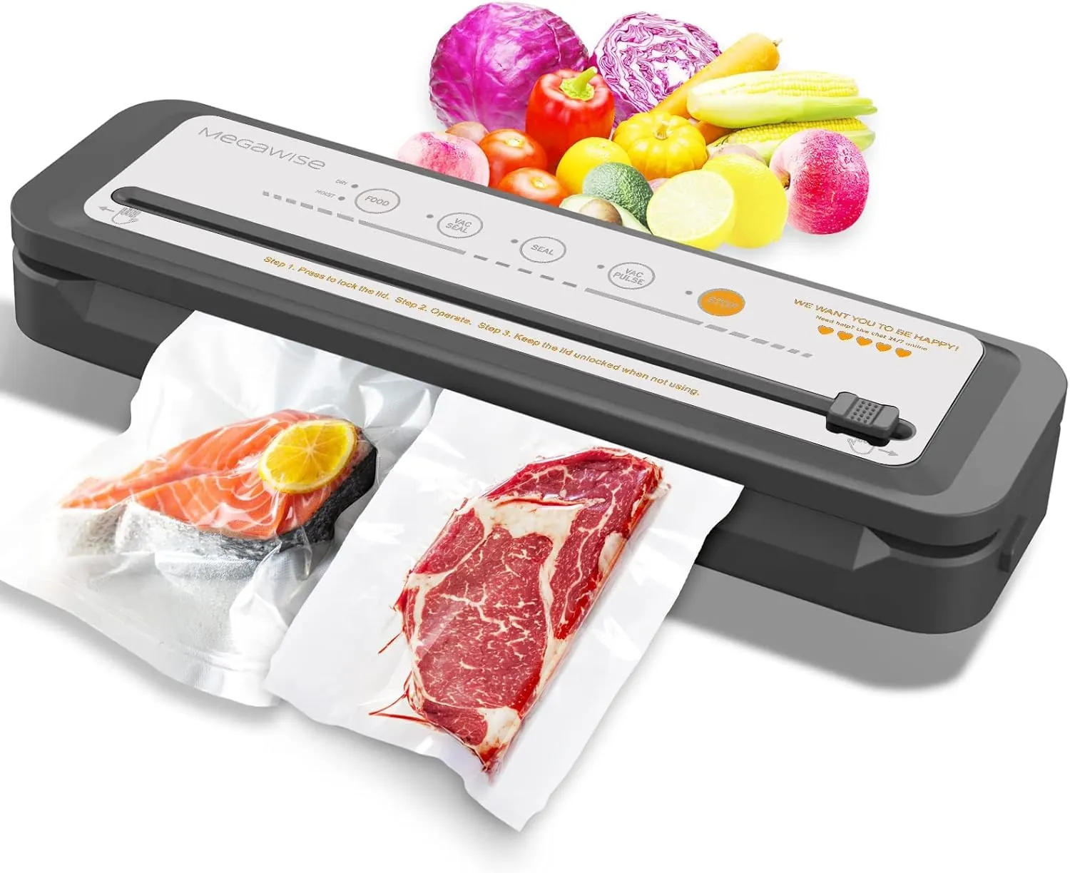 MEGAWISE, Scelleuse Alimentaire Portable